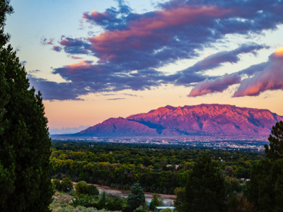 CONAA Council on Nursing & Anthropology Abstracts, 84th Annual Meeting of the Society for Applied Anthropology, March 26-28, 2024